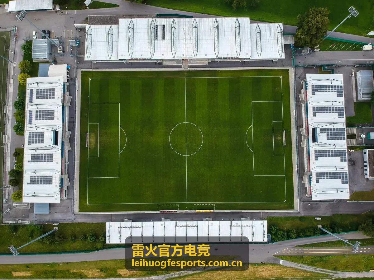 雷火官方电竞资深电竞观众证言头像